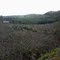 private clearcut above Yellow Creek