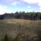private clearcut above Yellow Creek