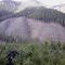 private clearcut above Yellow Creek