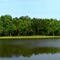 Goose Creek