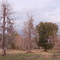 Summerville Wintertime Stolf