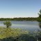 Lake Crystal