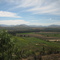 Valle del Limari
