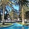 PALMERAS EN PLAZA DE OVALLE