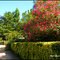 ▶ Jardines maravillosos ®