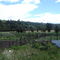campos chilotes