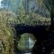 Puente Rural