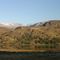 Landscape with Guanacos