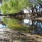 Estero Nilahue