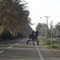 Carreta camino a Buin
