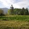 Nancagua.