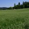 Grassy Hill..