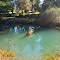 Green river hatchery