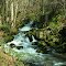 Coal Creek Falls