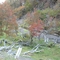 Arroyo de lo castores