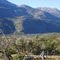 valle del lago brown