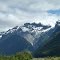Cerro tronador