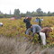 vendimia 2007 Culenco