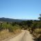 Camino a Hualve