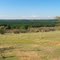 En la Ruta de Los Conquistadores, vista al este.
