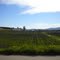 Viñas Lomas de Cauquenes