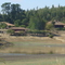 Tomenelo