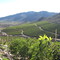 Plantaciones de paltos en valle del río Pama, Combarbalá, Región de Coquimbo, Chile.
