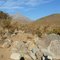 Petroglifos en Rincon de las chilcas y el cerro Chaguarech