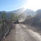 Arreo de caprinos, localidad de Chineo, Valle de Cogotí, Región de Coquimbo, Chile.