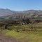 Ruta D-55 hacia Cogoti r.c.a.
