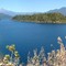 ISLA  EN EL PANGUIPULLI