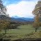 Campos de Lolco