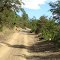Camino hacia la Reserva Nacional Nalcas