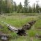 Mustard Creek