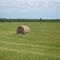 Round bales