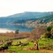 Lago Vichuquén. Chile
