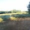 campo
