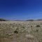 Valle Chacabuco  - Patagonia - Chile