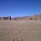 Quijote y Sancho conocen Atacama
