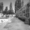 Cemetery of Isla de Maipo