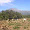 cerro siete picos, santa barbara