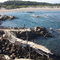 Playa de Ritoque, V Region.