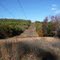 Locke Valley Powerline