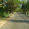 Principal avenida de Zúñiga