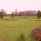Campo Winkler