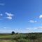 Fields