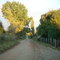 Loncopan