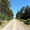 Camino a Hueillaco