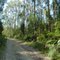 Reserva Costera Valdiviana