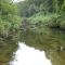 rio colun2